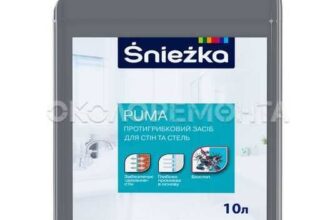 Ефективні засоби для обробки стін від грибка: що вибрати?