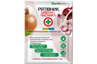 Ефективні засоби для обробки цибулі від хвороб: поради та рекомендації