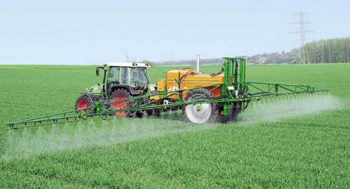 Ефективні засоби для обробки землі від бур’янів після висадки картоплі Ефективні засоби для обробки землі від бур’янів після висадки картоплі