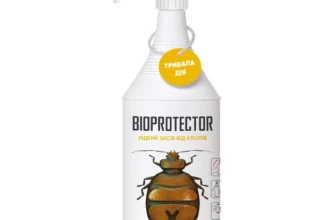 Ефективні засоби для виведення клопів: поради та рекомендації