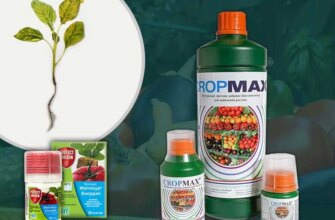 Ефективні засоби для захисту розсади від чорної ніжки: поради та методи