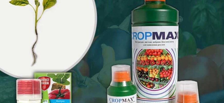 Ефективні засоби для захисту розсади від чорної ніжки: поради та методи