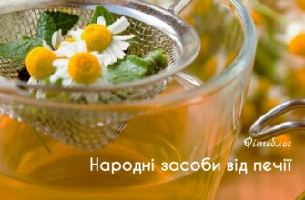 Ефективні засоби лікування печії: огляд народних та медичних методів