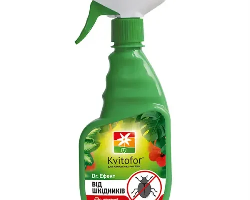 Ефективні засоби обробки кімнатних рослин від шкідників: поради експертів Ефективні засоби обробки кімнатних рослин від шкідників: поради експертів