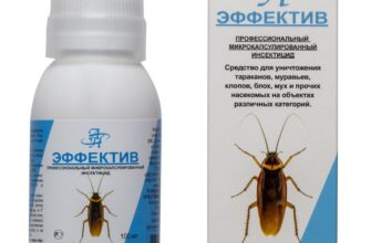 Ефективні засоби та креми для обробки укусів клопів вдома