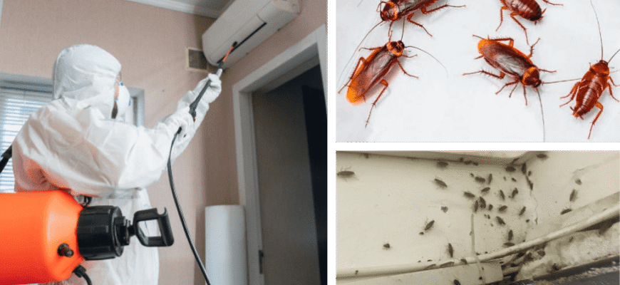 Ефективні засоби та методи для знищення тарганів у вашому домі