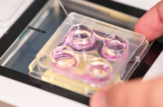 Форум на 8-й день після підсадки: обговорення та досвід учасників