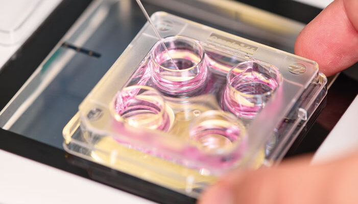 Форум на 8-й день після підсадки: обговорення та досвід учасників