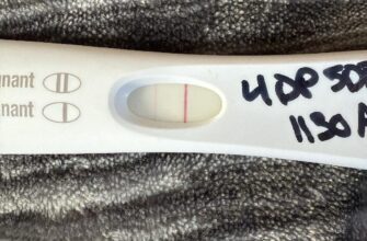 Форум: Що очікувати на 10-й день після переносу ембріонів?