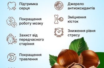 Фундук: корисні властивості для здоров’я серця і мозку