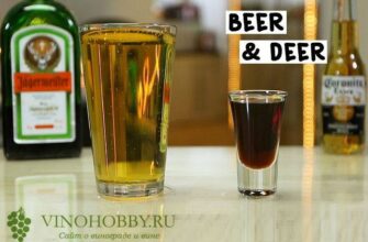 Ідеальні поєднання для вживання Єгермейстера: напої та закуски