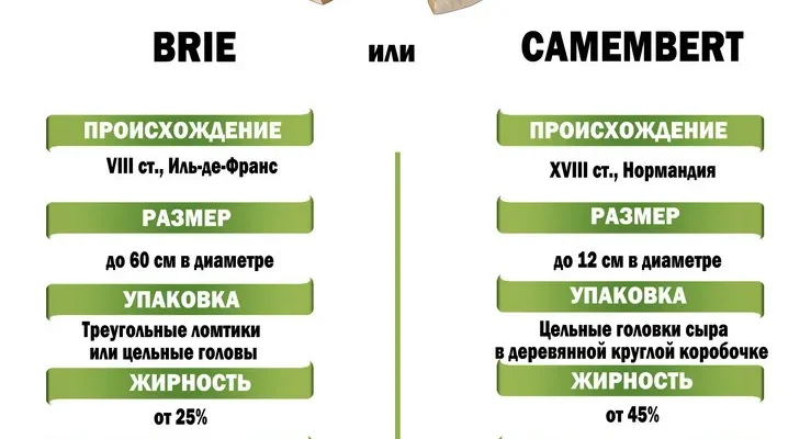 Камамбер vs Брi: Відмінності у смаку та текстурі популярних сирів
