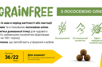 Корм для 3-місячного кошеняти: що обрати для здорового розвитку