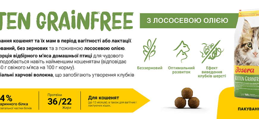 Корм для 3-місячного кошеняти: що обрати для здорового розвитку