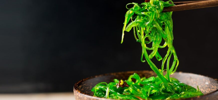 Корисні властивості чуки: як водорость покращує здоров’я та самопочуття