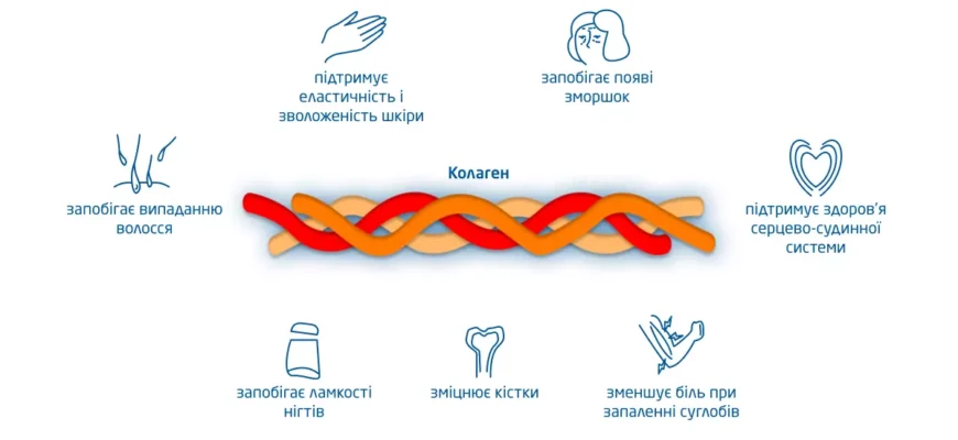 Корисні властивості колагену: здоров’я шкіри, суглобів і волосся