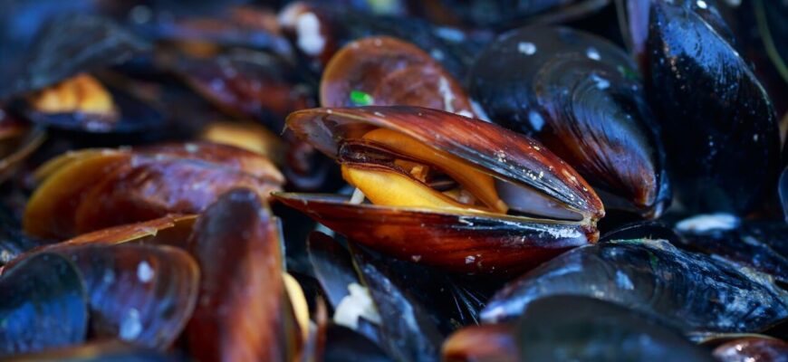 Корисні властивості мідій для жіночого здоров’я: вітаміни та мінерали