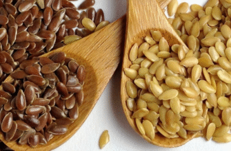 Корисні властивості насіння льону: Ваш ідеальний натуральний суперфуд