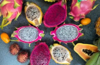 Корисні властивості пітахайї: чому варто додати цей фрукт у раціон