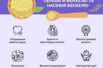 Користь фенхелю: відкрийте секрети цього дивовижного рослинного засобу