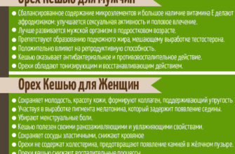 Користь горіхів кеш’ю для здоров’я: секрети та переваги споживання