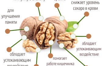Користь грецьких горіхів: чому вони важливі для вашого здоров’я