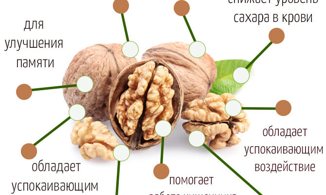Користь грецьких горіхів: чому вони важливі для вашого здоров’я