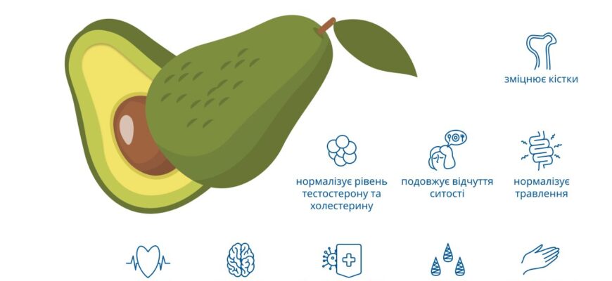 Користь кісточки авокадо: вітаміни, антиоксиданти і додаткові можливості