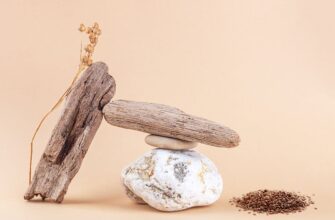 Користь льону: незамінні властивості для здоров’я та краси