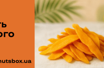 Користь сушеного манго: Вітаміни, антиоксиданти і енергія в кожному шматочку