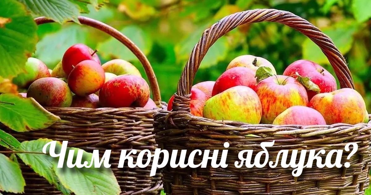 Яблука: користь для здоров'я, цікаві факти | SPADOK.ORG.UA