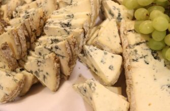 Користь сиру з пліснявою для здоров’я: властивості та переваги продукту