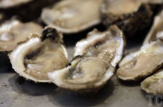 Користь устриць для здоров’я: джерело вітамінів та мінералів