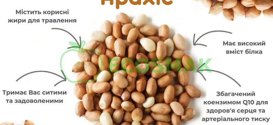 Користь жареного арахісу: здоров’я, антиоксиданти та енергія Користь жареного арахісу: здоров’я, антиоксиданти та енергія