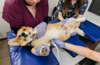 Кров’янисті виділення після лохії: причини, норми та лікування