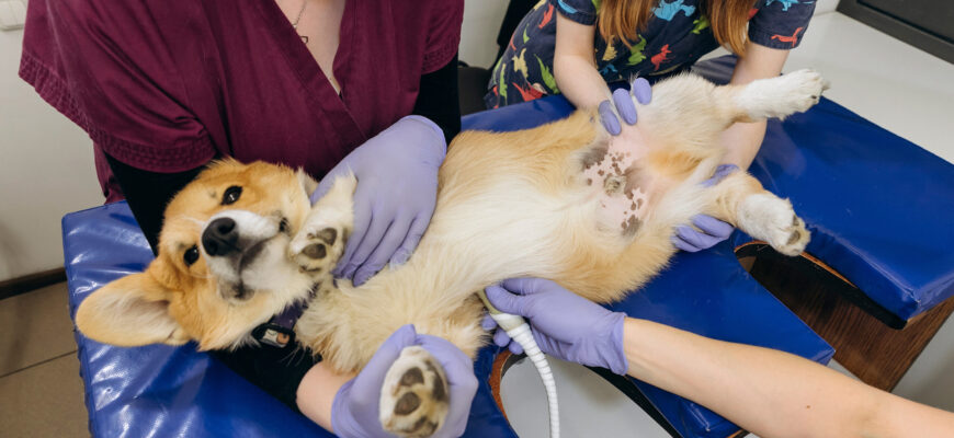 Кров’янисті виділення після лохії: причини, норми та лікування