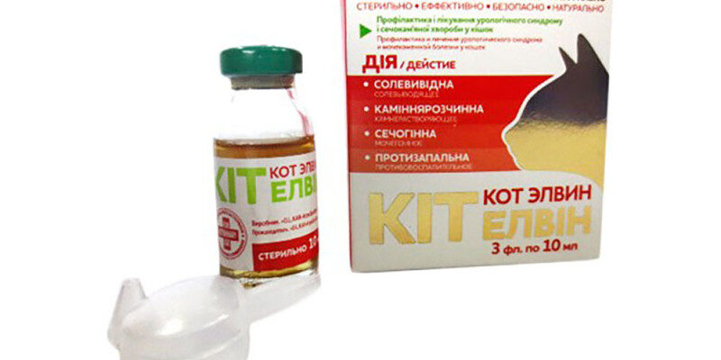 Лікування сечокам’яної хвороби у котів: ефективні ліки та рекомендації