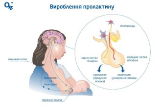 Можливі наслідки підвищеного рівня пролактину у чоловіків для здоров’я