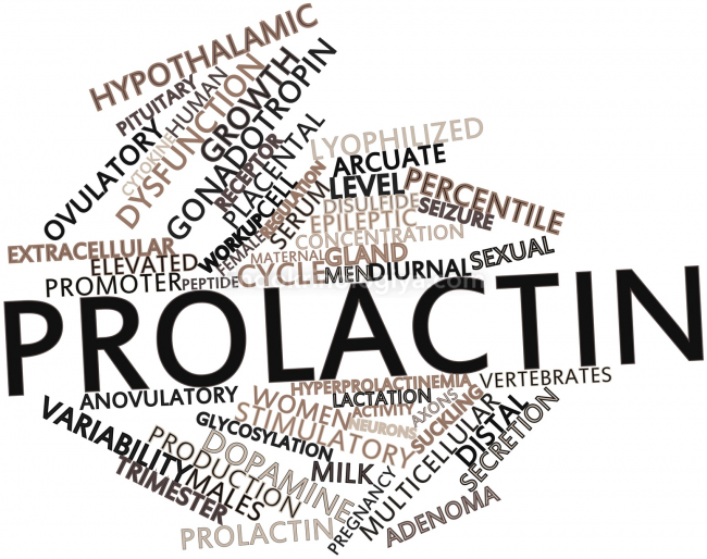 ПРОЛАКТИН - аналіз, який дуже часто призначають лікарі різних ...