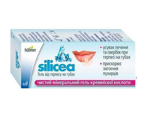 Найефективніші домашні ліки від герпесу на губах: огляд і поради