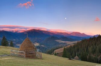Найкращі Ідеї Та Розваги для Відпочинку в Бродах: Що Спробувати