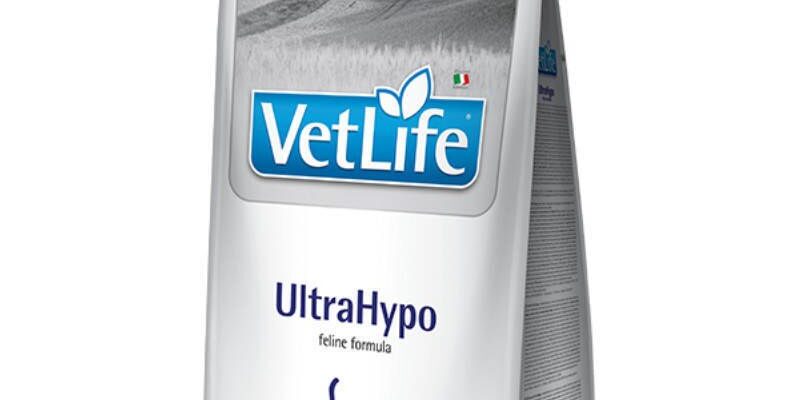 Найкращі ліки від алергії на котів: огляд ефективних засобів