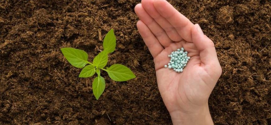 Найкращі способи удобрення землі весною: поради та рекомендації