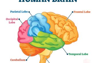 Невимовний біль: як пережити та впоратись з емоційним тягарем