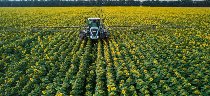 Обприскування після дощу: ефективні методи захисту врожаю