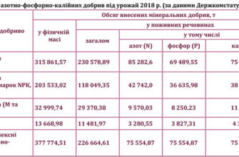 Оптимальна доза нітроамофоски на 1 сотку: ефективність та поради