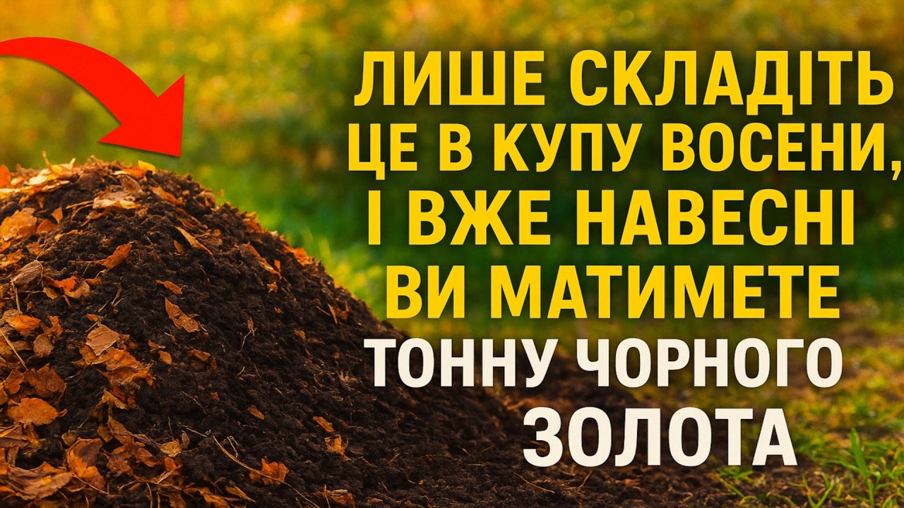 Інтернет-магазин CULTIVA | Голландське насіння, Добрива, ЗЗР