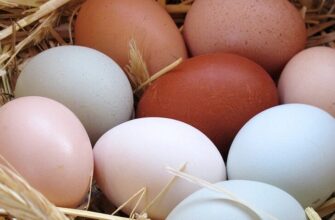 Оптимальні дії після статевого акту для підвищення шансів завагітніти