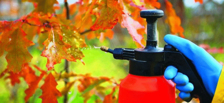 Оптимальні засоби обробки дерев восени для захисту та збереження