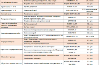 Оптимальний час та засоби для обробки фундука від шкідників